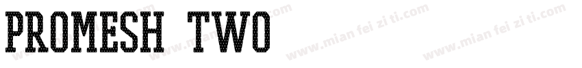 PROMESH Two字体转换